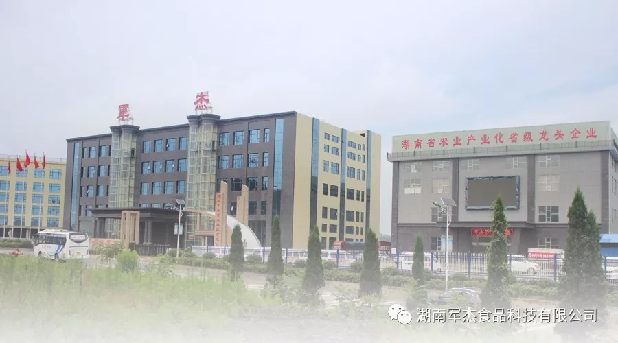 湖南軍杰食品科技有限公司,湖南軍杰袋裝,軍杰瓶裝,軍杰桶裝